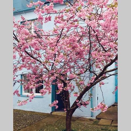 Albion Cottage Cockermouth Exterior foto