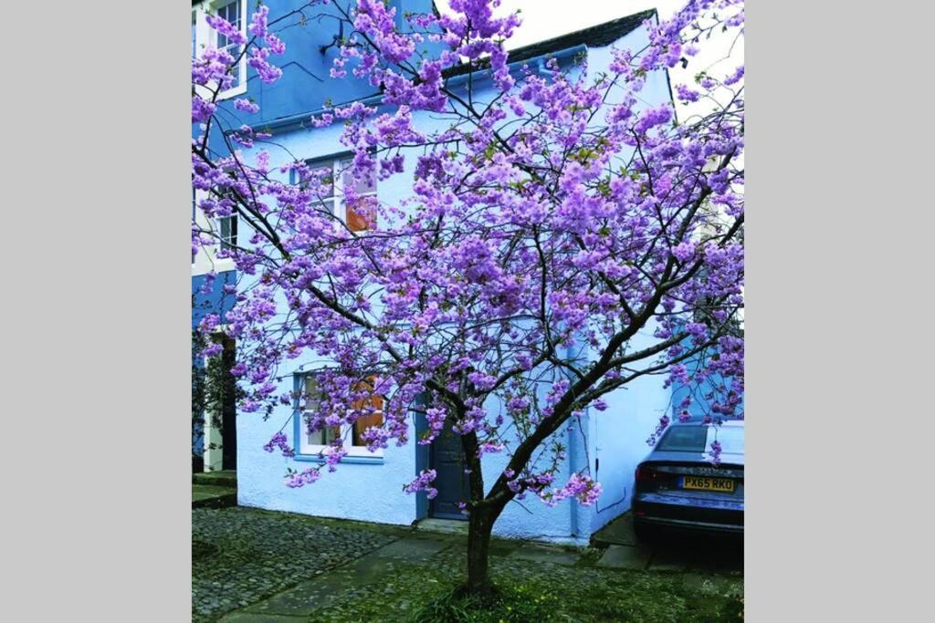 Albion Cottage Cockermouth Exterior foto